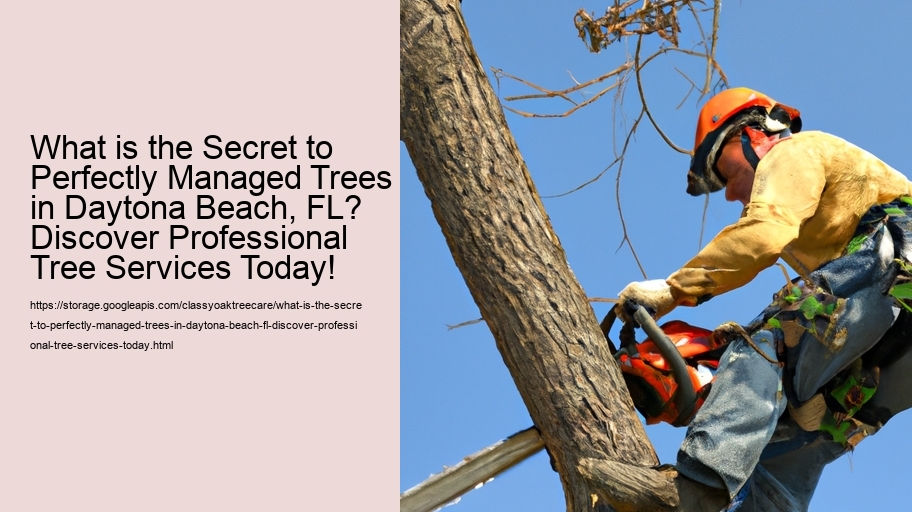 What is the Secret to Perfectly Managed Trees in Daytona Beach, FL? Discover Professional Tree Services Today!