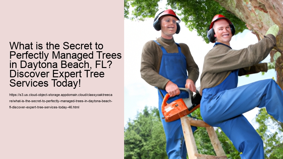 What is the Secret to Perfectly Managed Trees in Daytona Beach, FL? Discover Expert Tree Services Today!