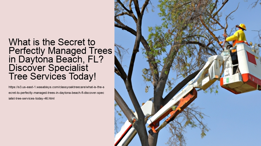 What is the Secret to Perfectly Managed Trees in Daytona Beach, FL? Discover Specialist Tree Services Today!