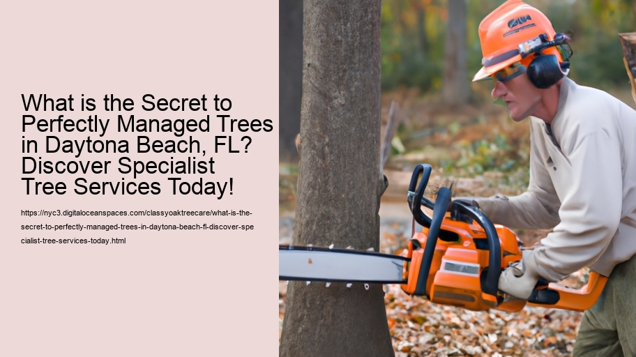 What is the Secret to Perfectly Managed Trees in Daytona Beach, FL? Discover Specialist Tree Services Today!