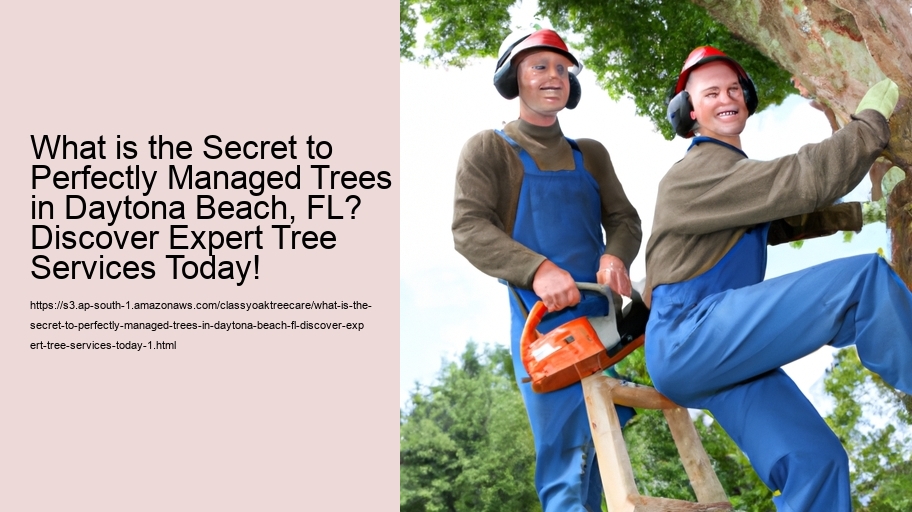 What is the Secret to Perfectly Managed Trees in Daytona Beach, FL? Discover Expert Tree Services Today!