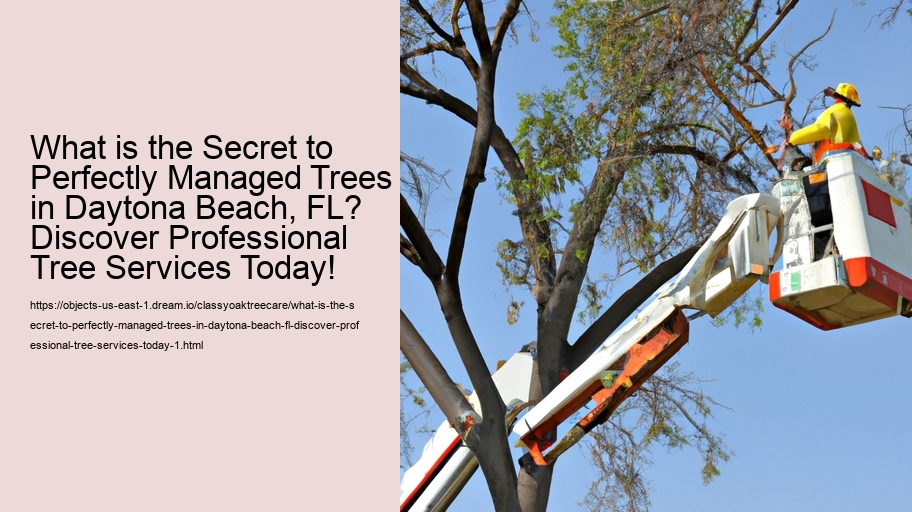 What is the Secret to Perfectly Managed Trees in Daytona Beach, FL? Discover Professional Tree Services Today!