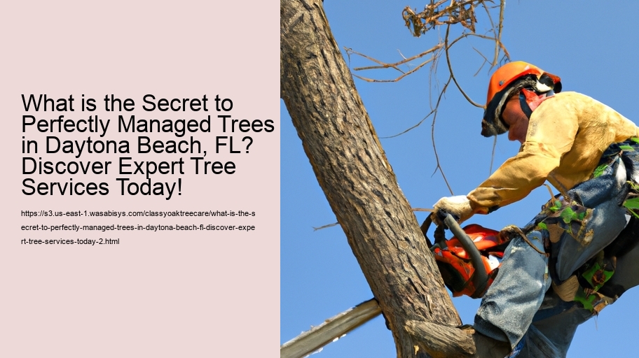 What is the Secret to Perfectly Managed Trees in Daytona Beach, FL? Discover Expert Tree Services Today!