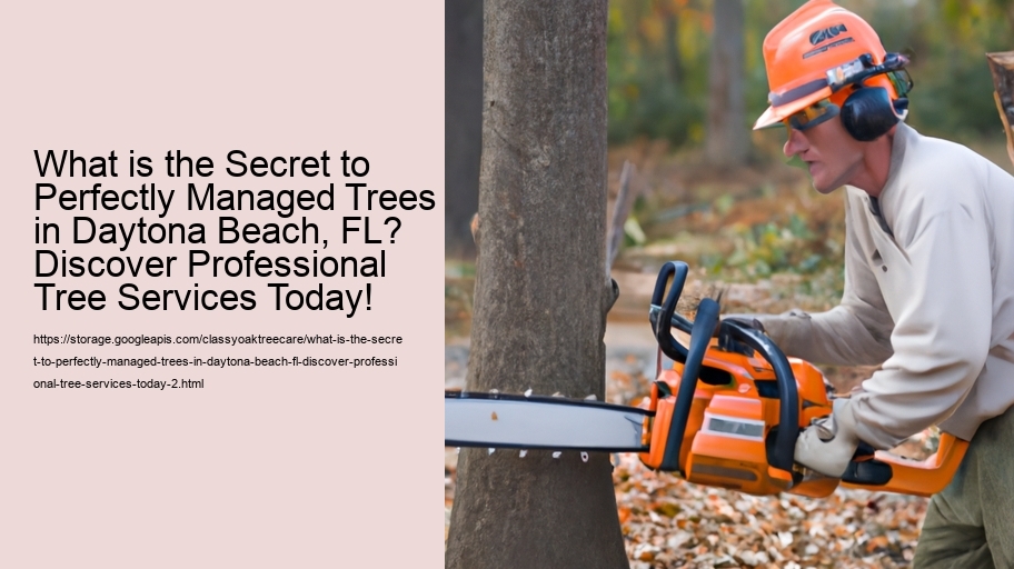 What is the Secret to Perfectly Managed Trees in Daytona Beach, FL? Discover Professional Tree Services Today!
