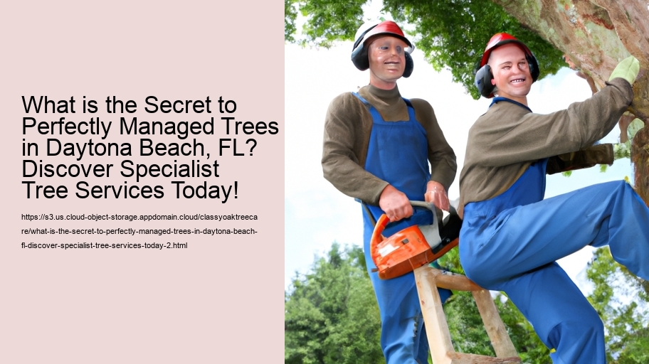 What is the Secret to Perfectly Managed Trees in Daytona Beach, FL? Discover Specialist Tree Services Today!