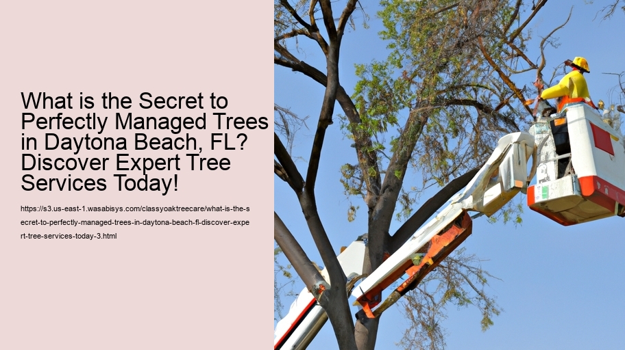 What is the Secret to Perfectly Managed Trees in Daytona Beach, FL? Discover Expert Tree Services Today!